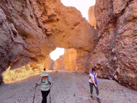 Picture of Desert Oasis Adventure: From Death Valley to Joshua Tree