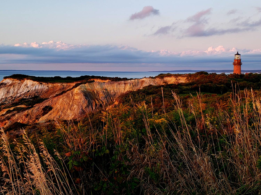 Naturally Newport