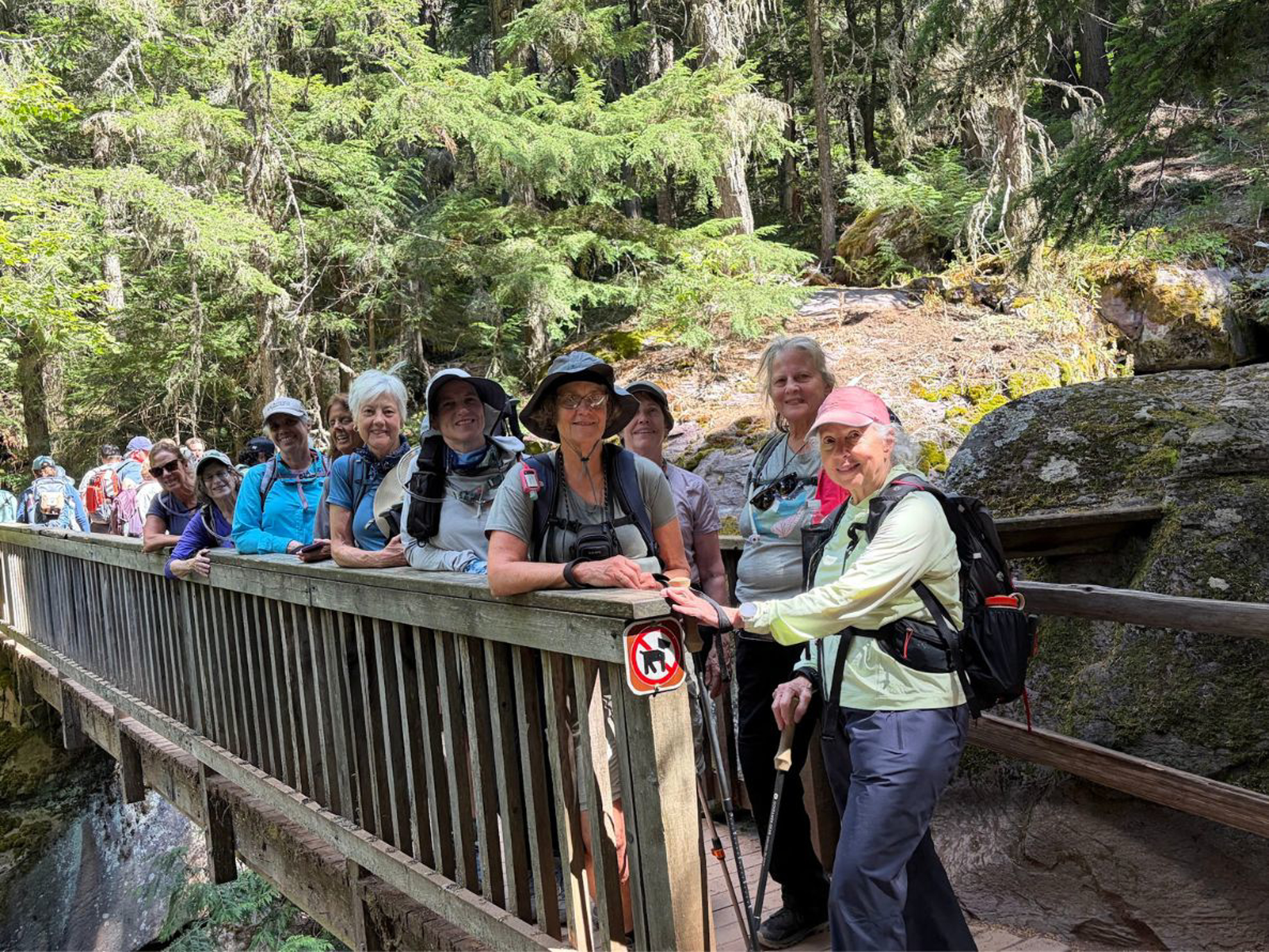 Picture of Hiking and Rafting Glacier National Park