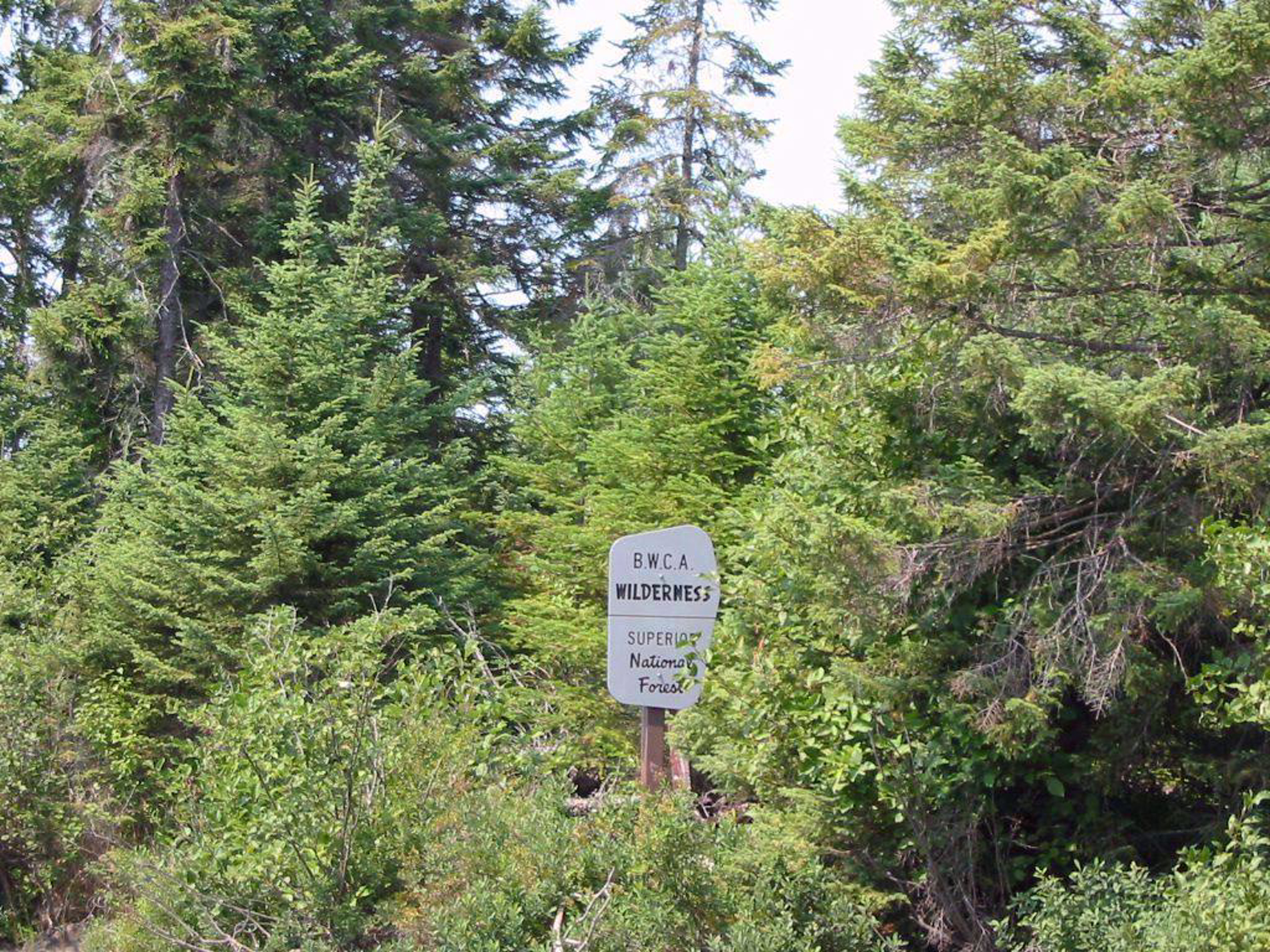 Picture of Boundary Waters Canoe Adventure