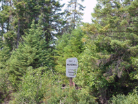 Picture of Boundary Waters Canoe Adventure