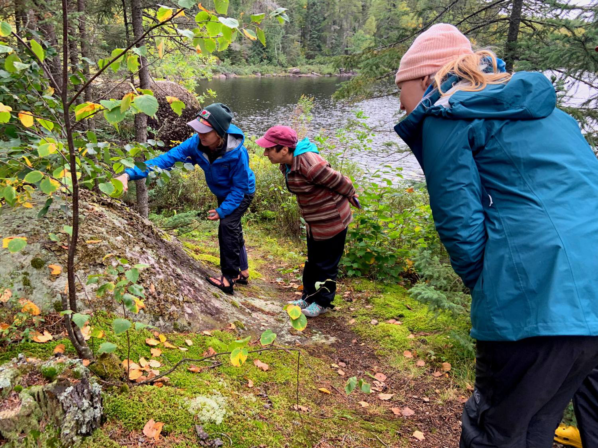 Picture of Boundary Waters Canoe Adventure