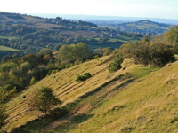 Picture of The Cotswolds: Storybook Charm and Adventure