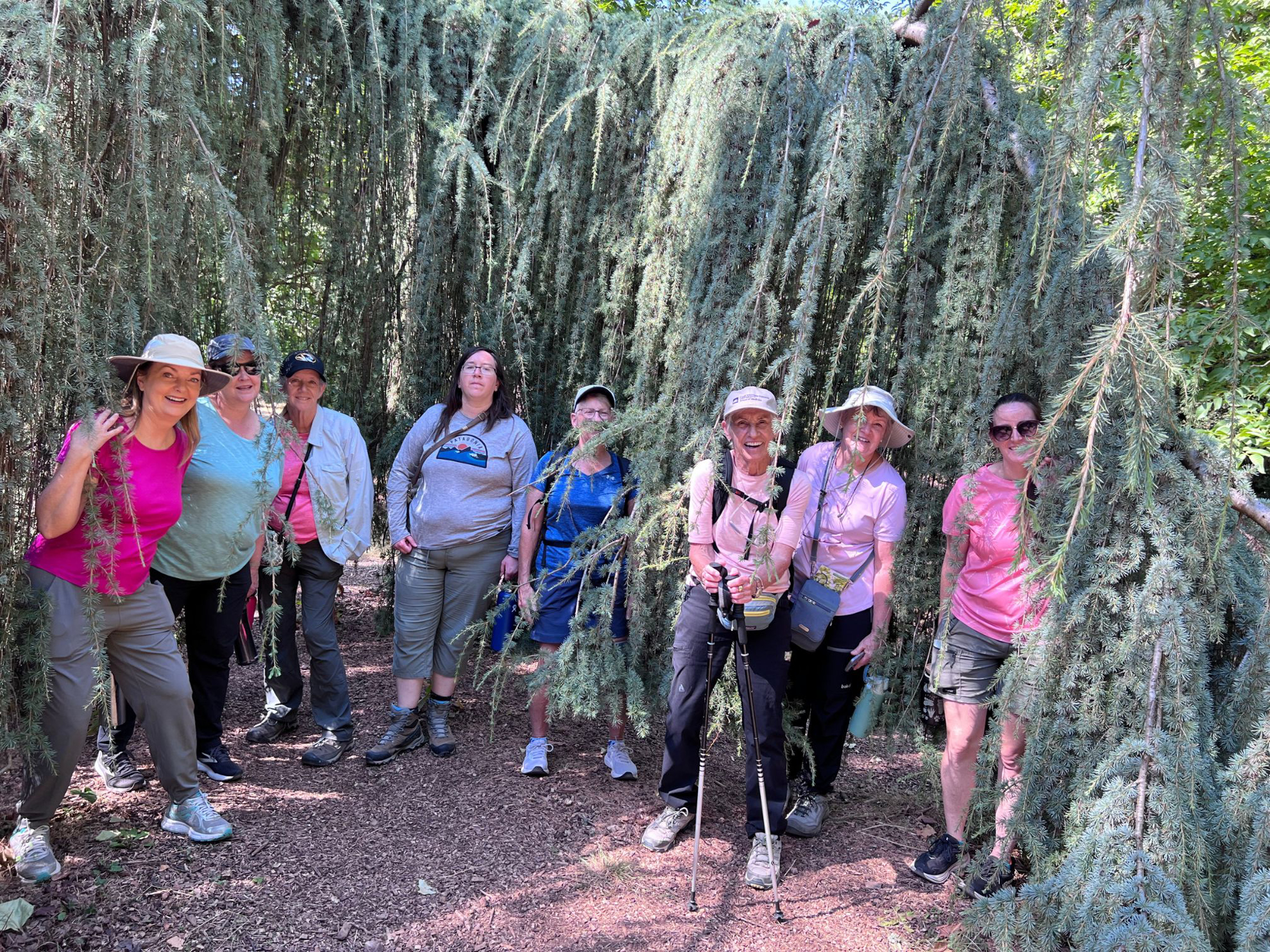 Picture of The Cotswolds: Storybook Charm and Adventure