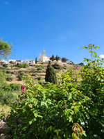 Picture of Island Hopping in the Greek Islands
