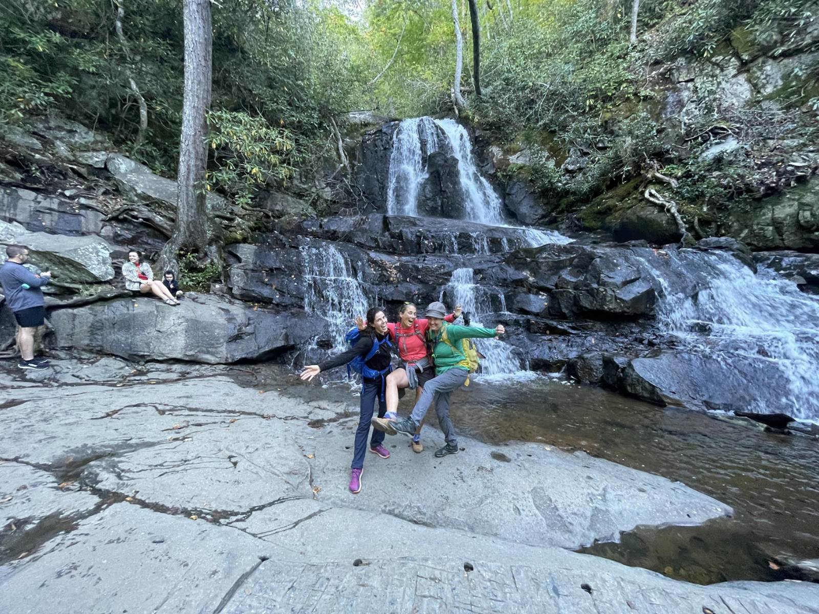 Picture of Fall in the Great Smokies