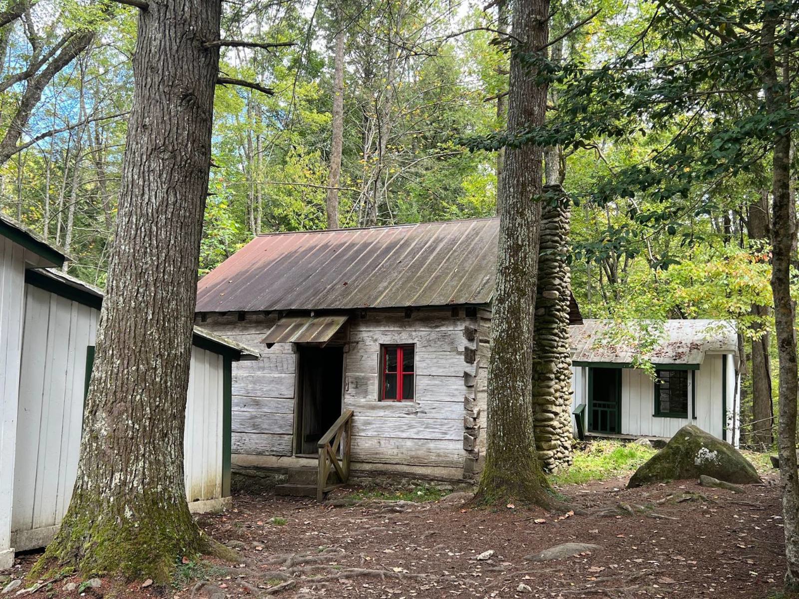Picture of Fall in the Great Smokies