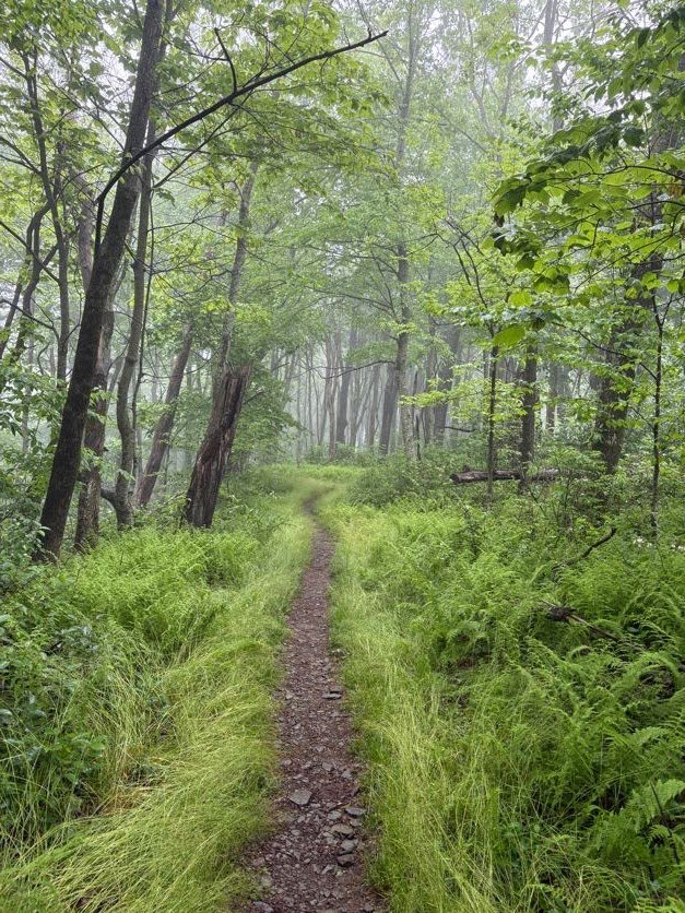 Picture of Hiking Shenandoah: Appalachian Trail & Blue Ridge Mountains