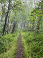 Picture of Hiking Shenandoah: Appalachian Trail & Blue Ridge Mountains