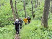 Picture of Hiking Shenandoah: Appalachian Trail & Blue Ridge Mountains