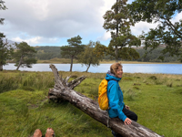 Picture of Exploring Scotland: Isles, Landscapes, and Lochs