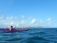 Picture of Exploring Scotland: Isles, Landscapes, and Lochs