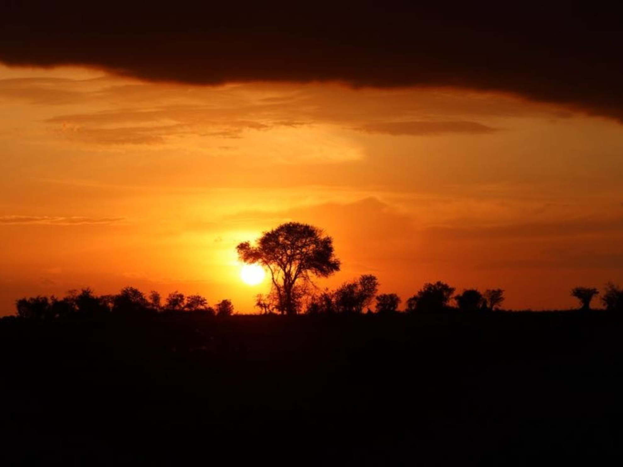 Picture of Tanzania Journey: Ngorongoro Highlands Trek and Wildlife Safari
