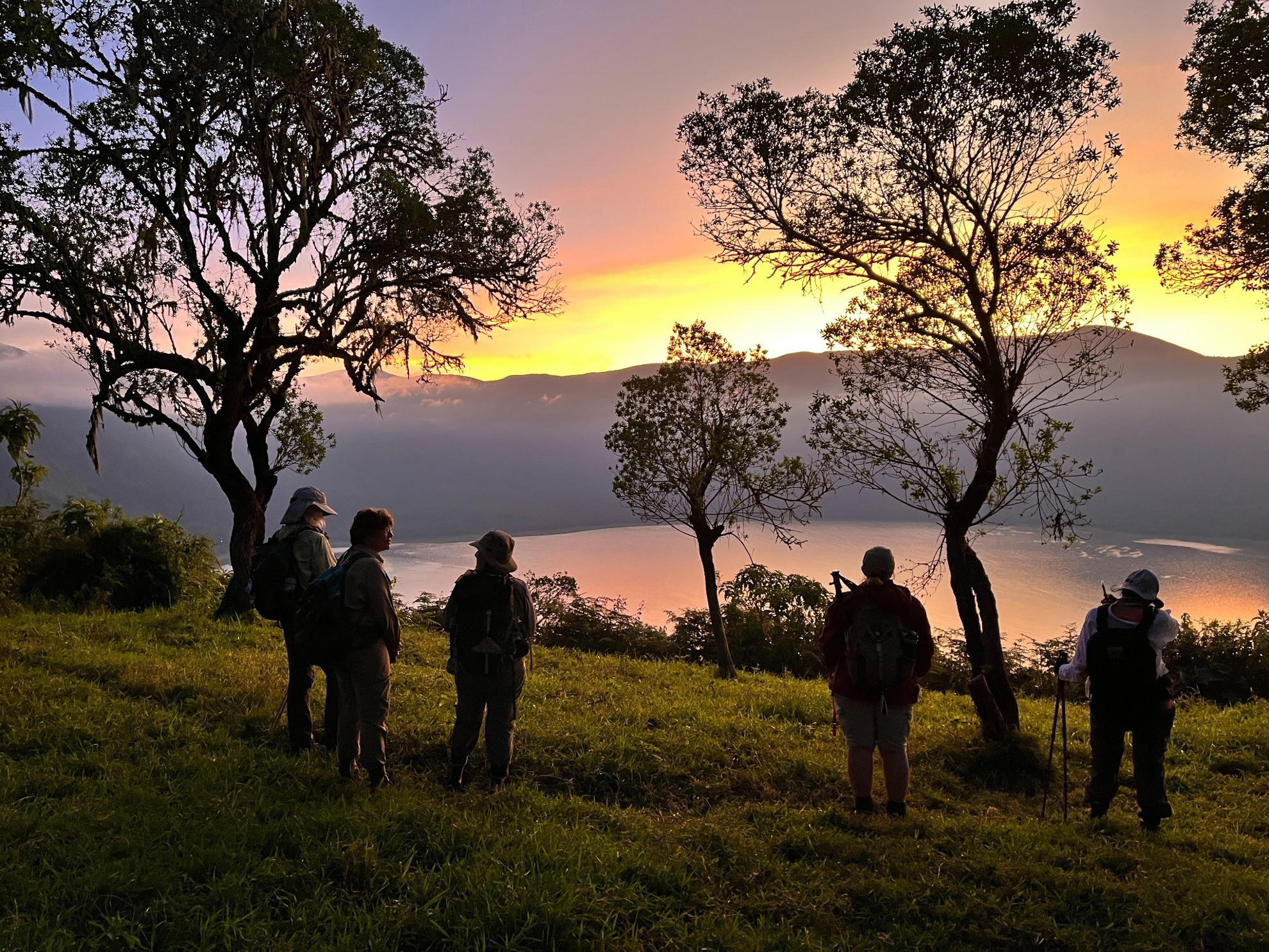 Picture of Tanzania Journey: Ngorongoro Highlands Trek and Wildlife Safari