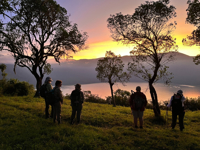 Picture of Tanzania Journey: Ngorongoro Highlands Trek and Wildlife Safari