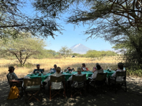 Picture of Tanzania Journey: Ngorongoro Highlands Trek and Wildlife Safari