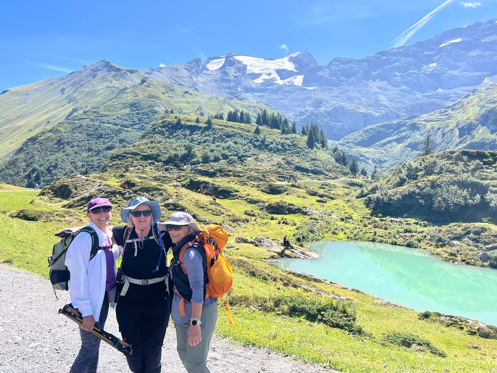 Picture of Switzerland: Hiking on the Via Alpina