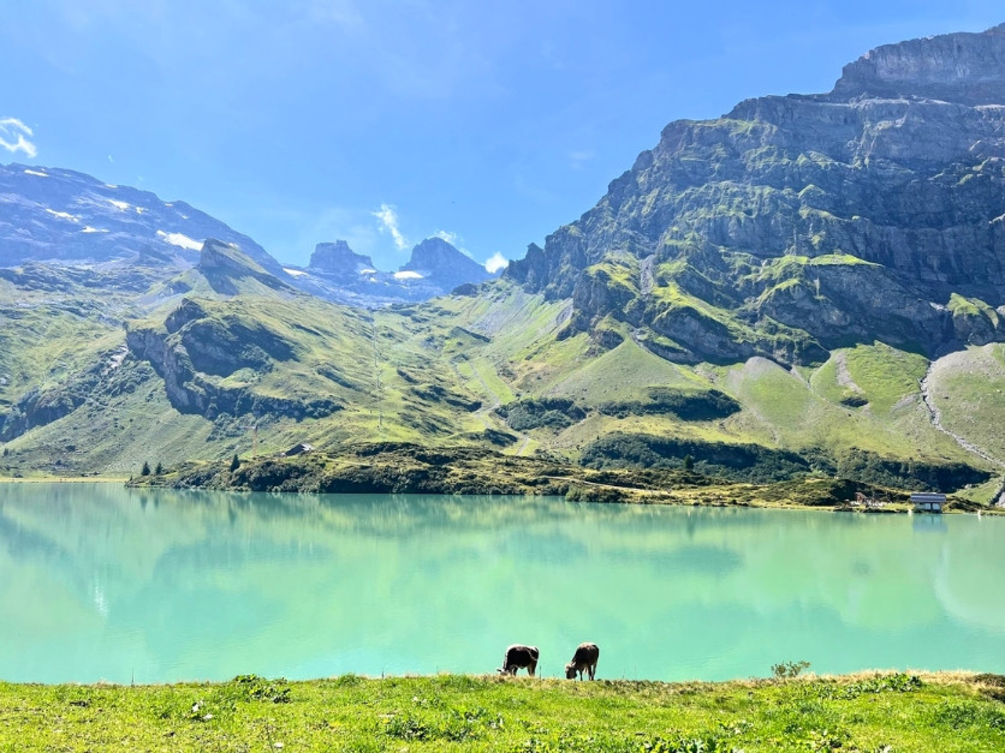 Picture of Switzerland: Hiking on the Via Alpina