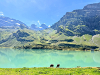 Picture of Switzerland: Hiking on the Via Alpina