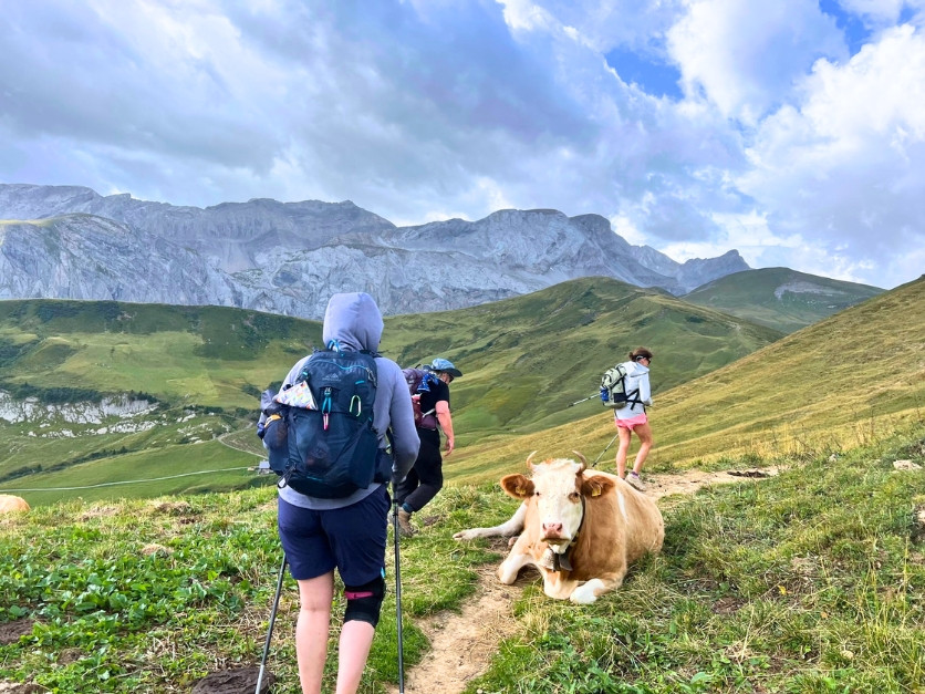 Picture of Switzerland: Hiking on the Via Alpina