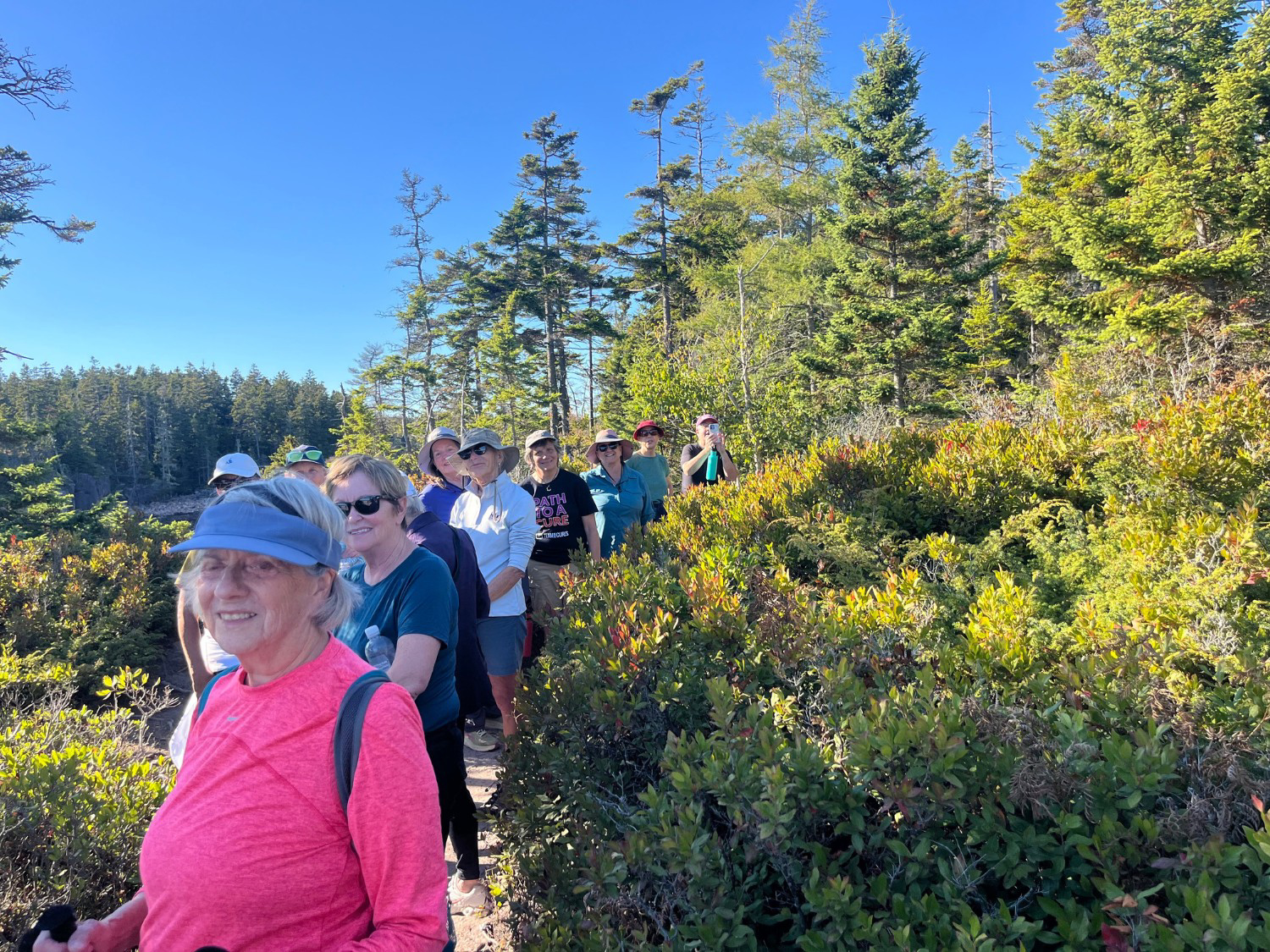 Picture of Magical Maine: Acadia National Park
