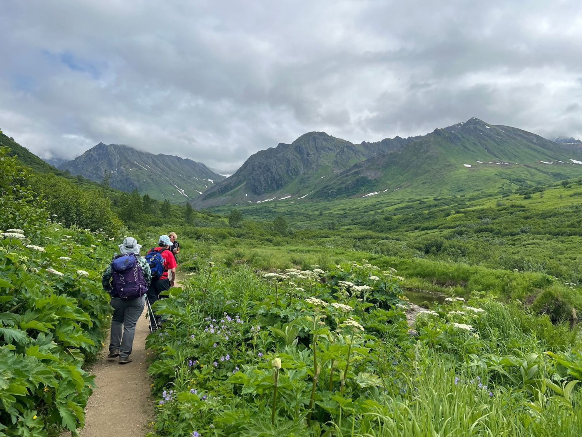 Picture of Alaska: From Anchorage to Fairbanks