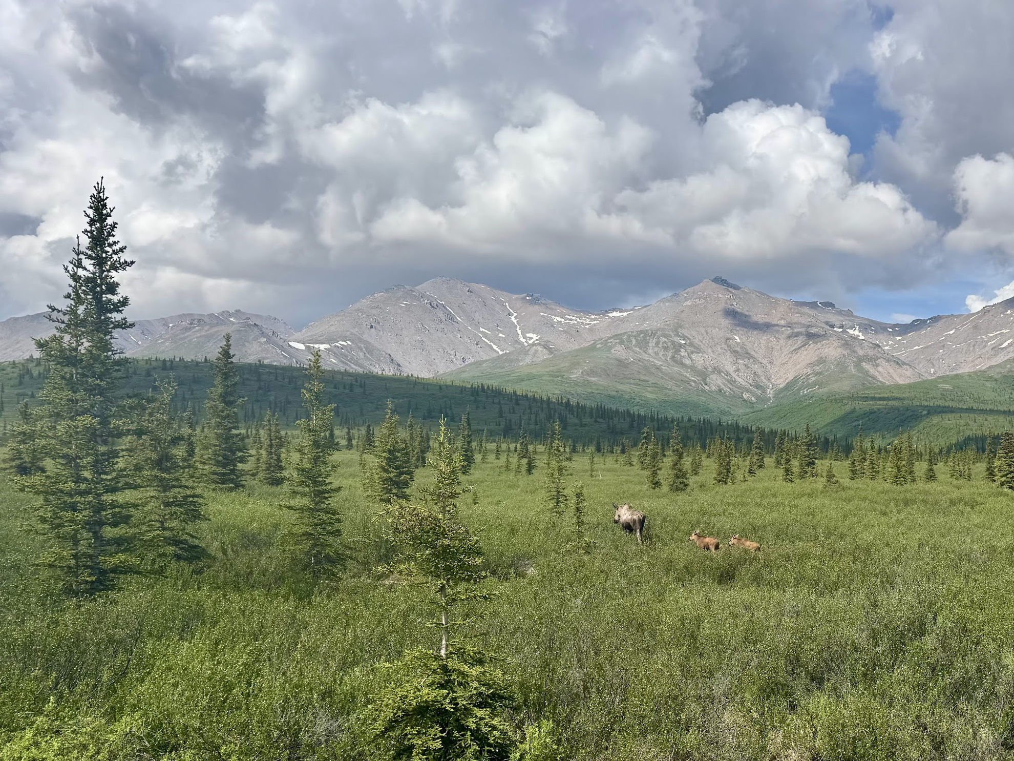 Picture of Alaska: From Anchorage to Fairbanks
