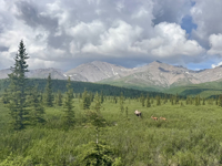 Picture of Alaska: From Anchorage to Fairbanks