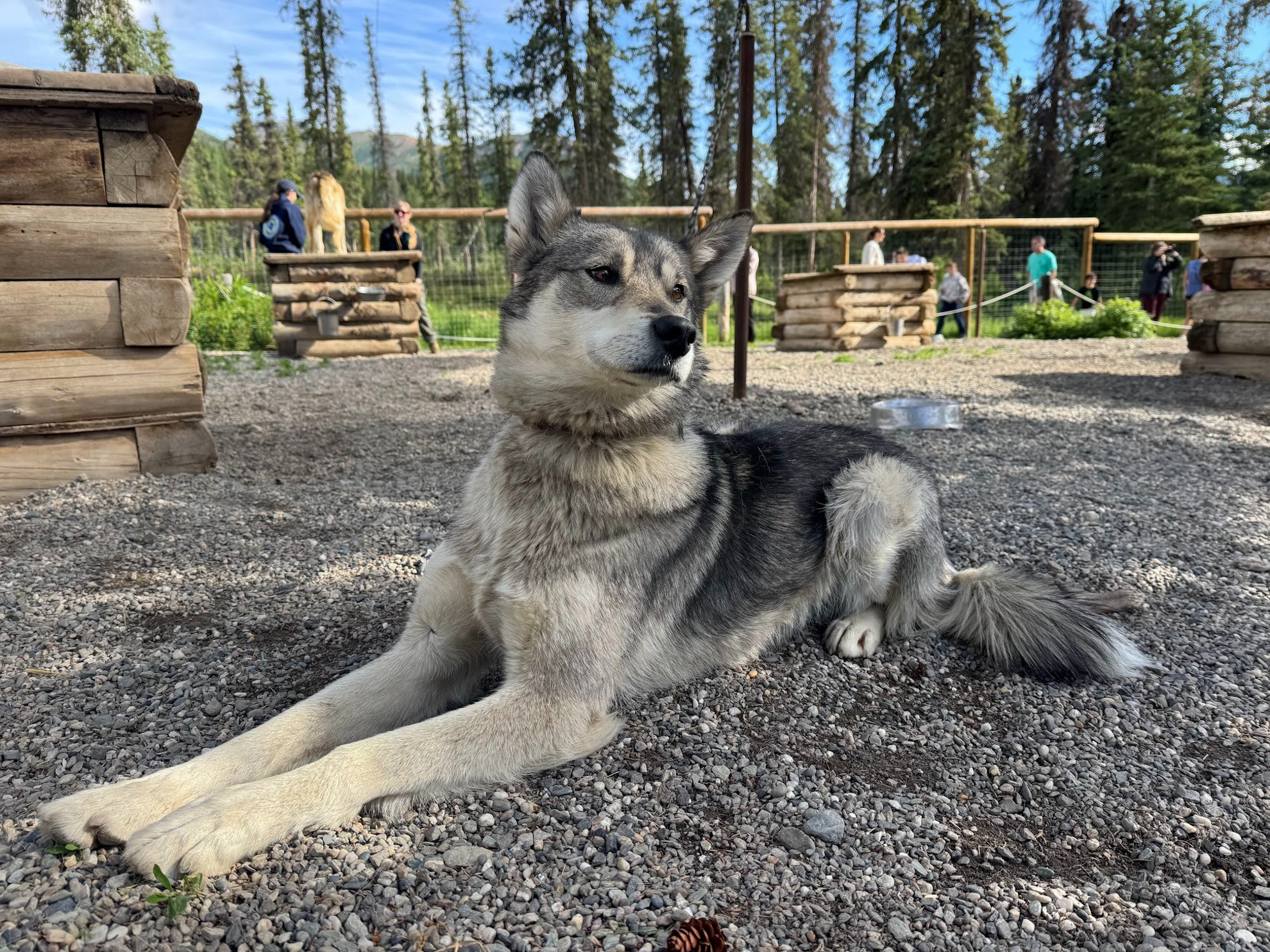Picture of Alaska: From Anchorage to Fairbanks