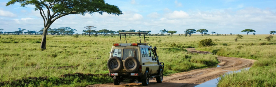 Tanzania Journey: Ngorongoro Highlands Trek and Wildlife Safari