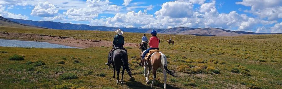 Living the Cowgirl Life