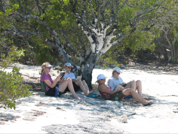 Reading on the Beach
